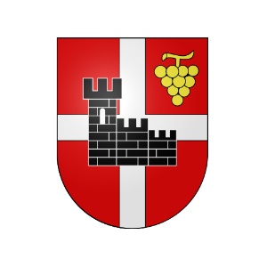 Gorduno-lavori per infrastrutture e pavimentazione in via ai Chiossi