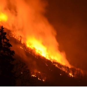 Divieto assoluto di accensione fuochi all'aperto